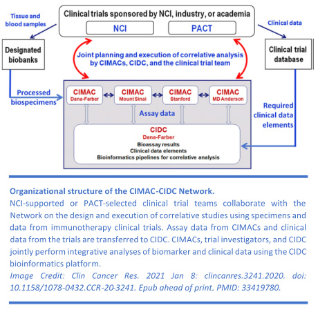 Organizational structure of the CIMAC-CIDC Network. 