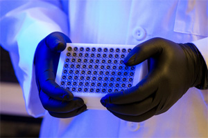 A technician holds DNA samples that have been stored in a high-density format for automated handling at the Cancer Genomics Research Laboratory, part of the National Cancer Institute's Division of Cancer Epidemiology and Genetics (DCEG).